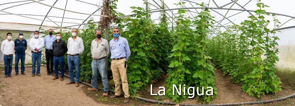 Con la colaboración del INIFAP se fortalece el campo de Córdoba