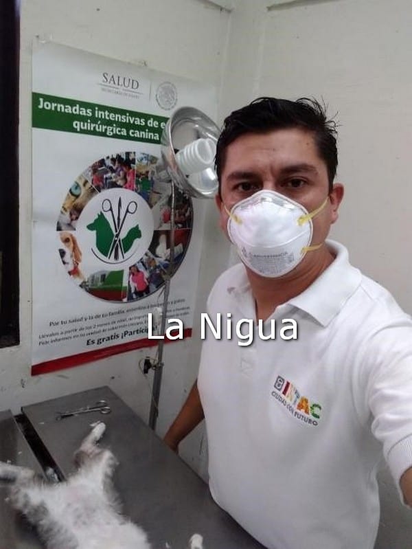 Realizarán campaña de esterilización en Colonia Morelos, Ixtaczoquitlán.