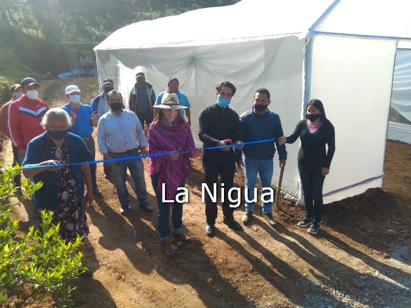PONEN EN MARCHA GRUPO DE TRABAJO PARA PROCESAMIENTO DE CAFÉ