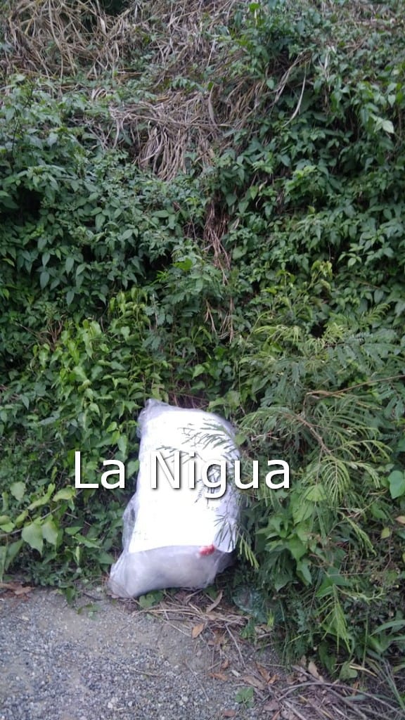 WhatsApp Image 2021 01 21 at 17.54.08 1