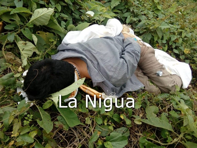 WhatsApp Image 2021 01 24 at 14.13.59