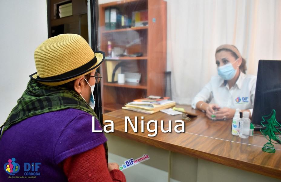 Invita DIF Córdoba a poner un alto a la violencia contra la mujer