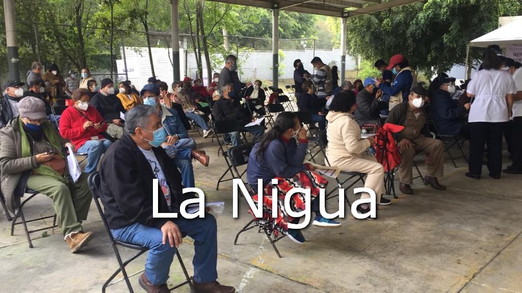 Comienza jornada de vacunación contra el Covid-19 para adultos mayores en Xalapa