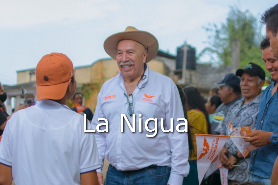 Encuesta de El Mundo pretende confundir: Tomás López