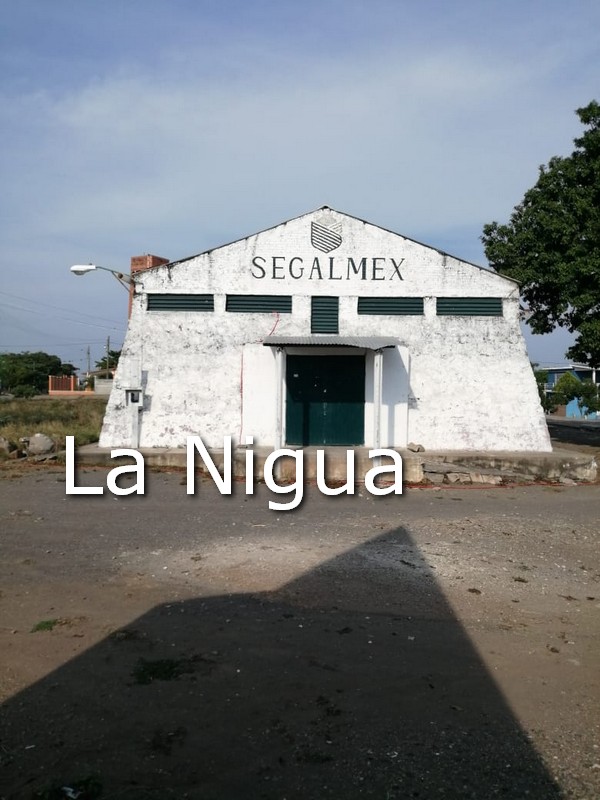 Abre Segalmex El Palmar