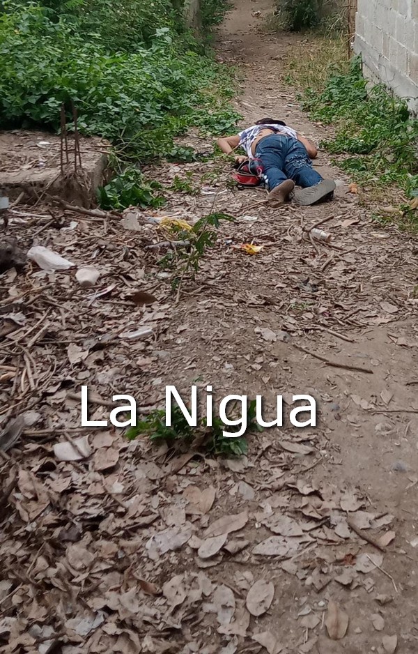 Atacados a balazos par de hermanos en Martínez de la Torre