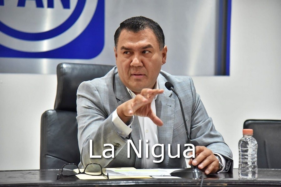 Diputados del PAN muestran apoyo a Tito Delfín