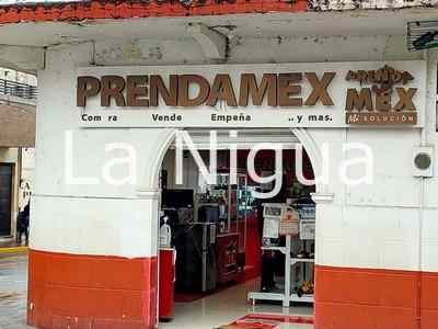 Le venden gato por libre en empeño