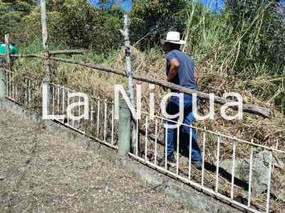 CAMBIAN CARA A ZONGOLICA