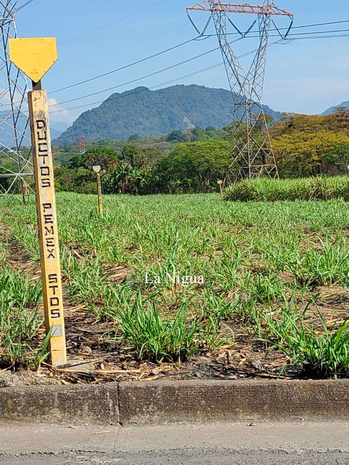 Se alertan ciudadanos por fuga de gas.