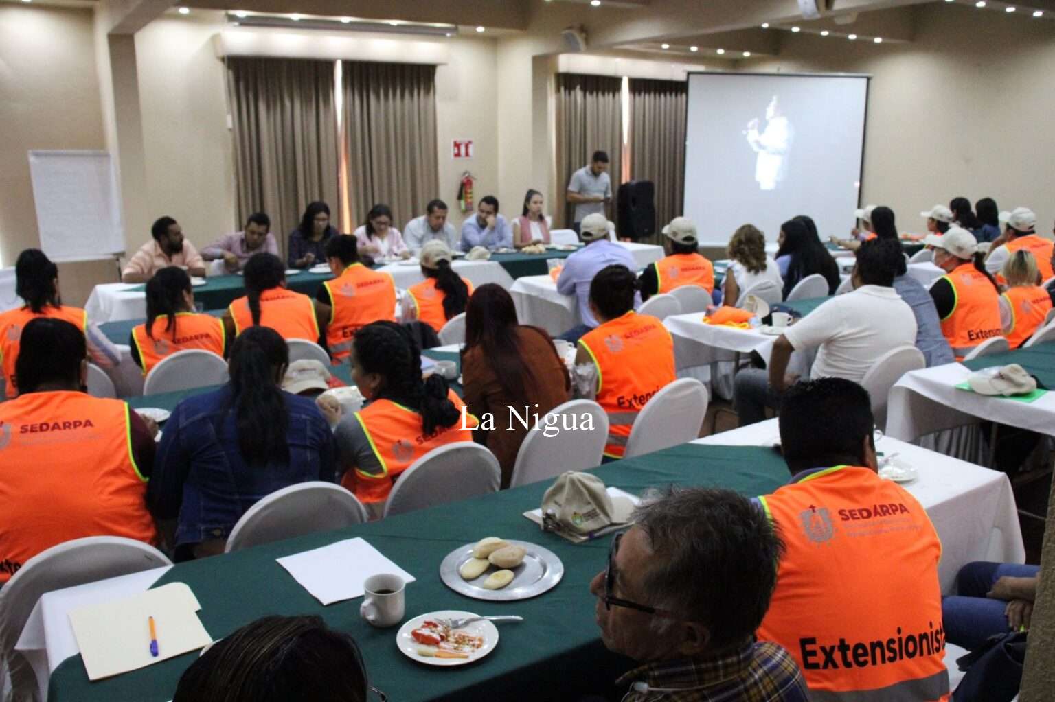 TRATAMOS DE ELABORAR UN PLAN DE TRANSICIÓN AGROECOLÓGICA, QUE PERMITA HACER UNA AGRICULTURA MÁS SANA, MÁS SUSTENTABLE Y ALIMENTOS MÁS SANOS: DR. EVARISTO OVANDO RAMÍREZ