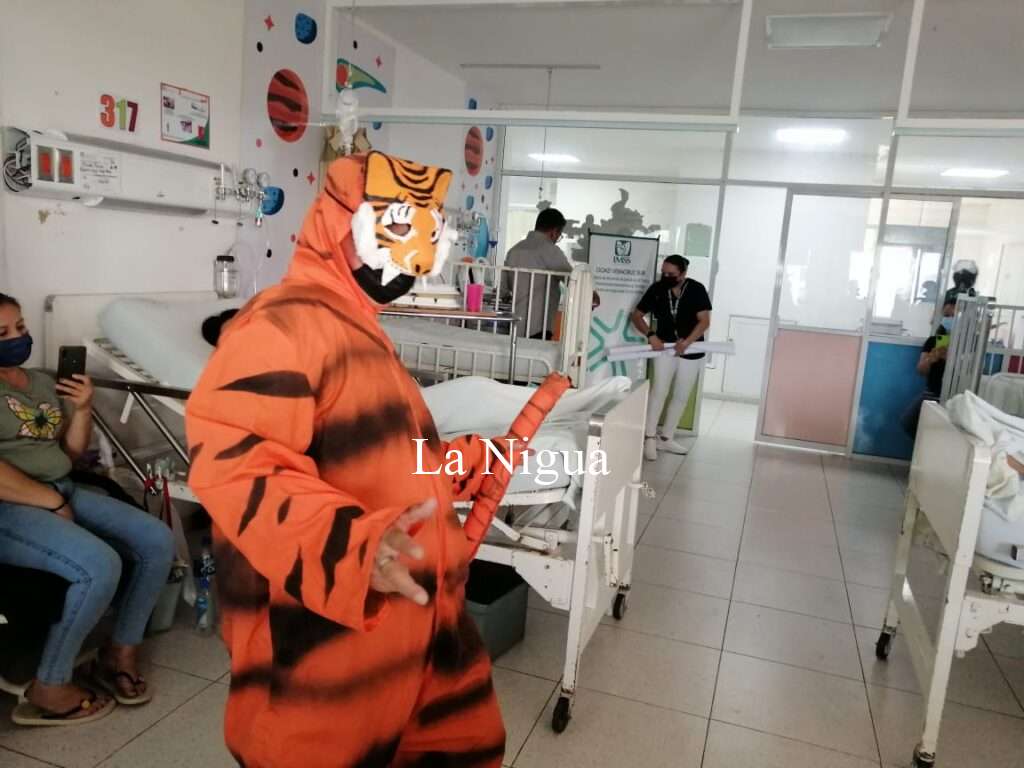 Reanuda IMSS Veracruz Sur programa Hospitalarte