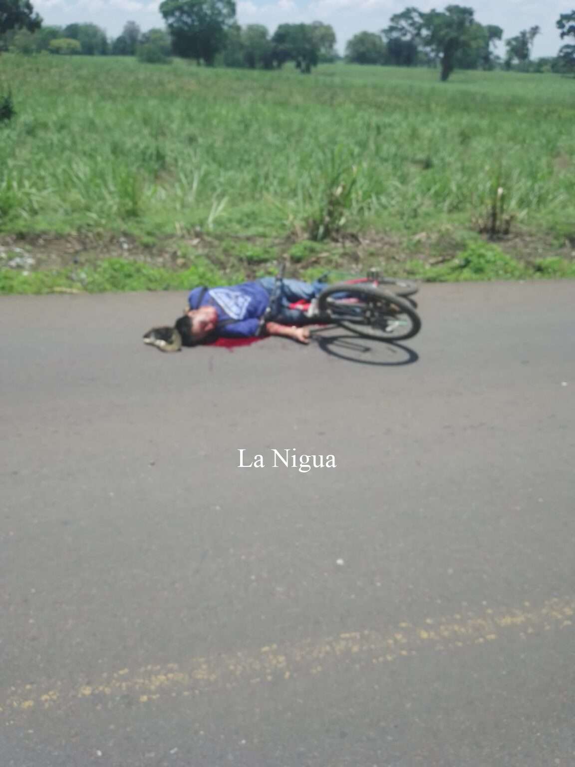 EJECUTAN A CICLISTA