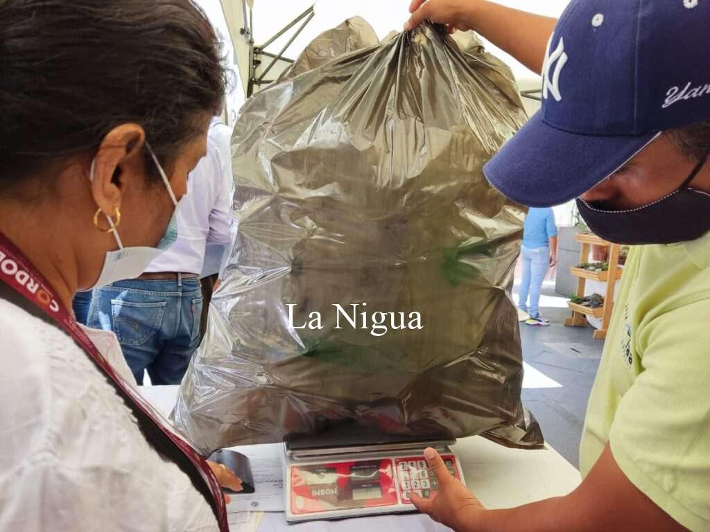 Mantiene activo Ecología y Medio Ambiente Centro de Acopio en San José