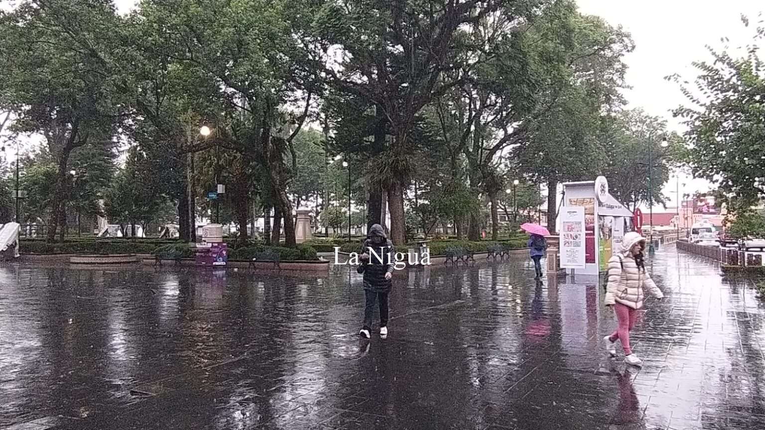 Deja inundaciones y encharcamientos lluvia en Xalapa
