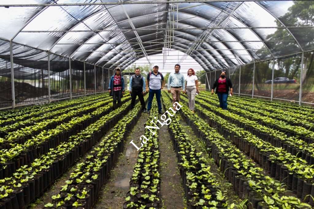 Apoya alcalde Carlos Ventura a productores del campo a través del Mercado de Consumo Solidario