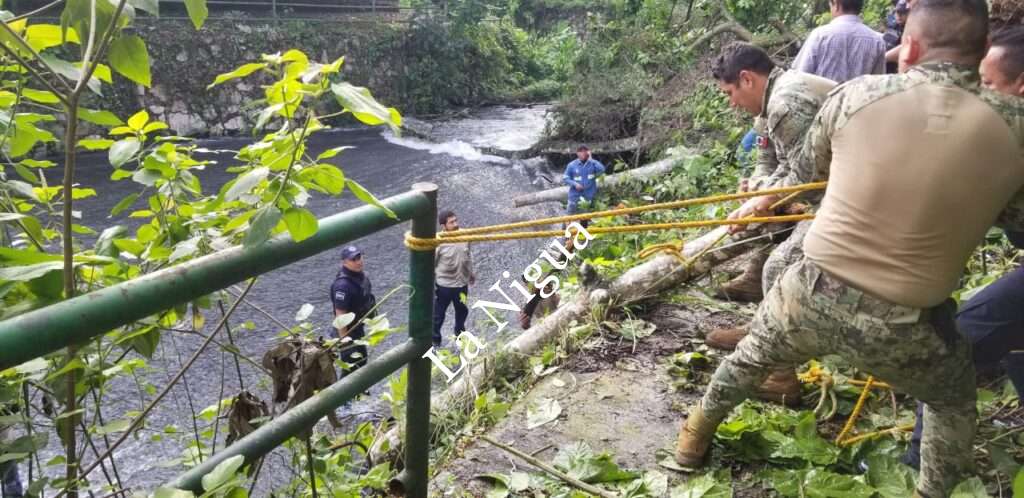 Realiza Ayuntamiento trabajos de desazolve en ríos y arroyos de la ciudad