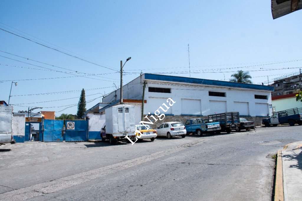 Aumentan sacrificios en Rastro Municipal; buscarán hacer mejoras