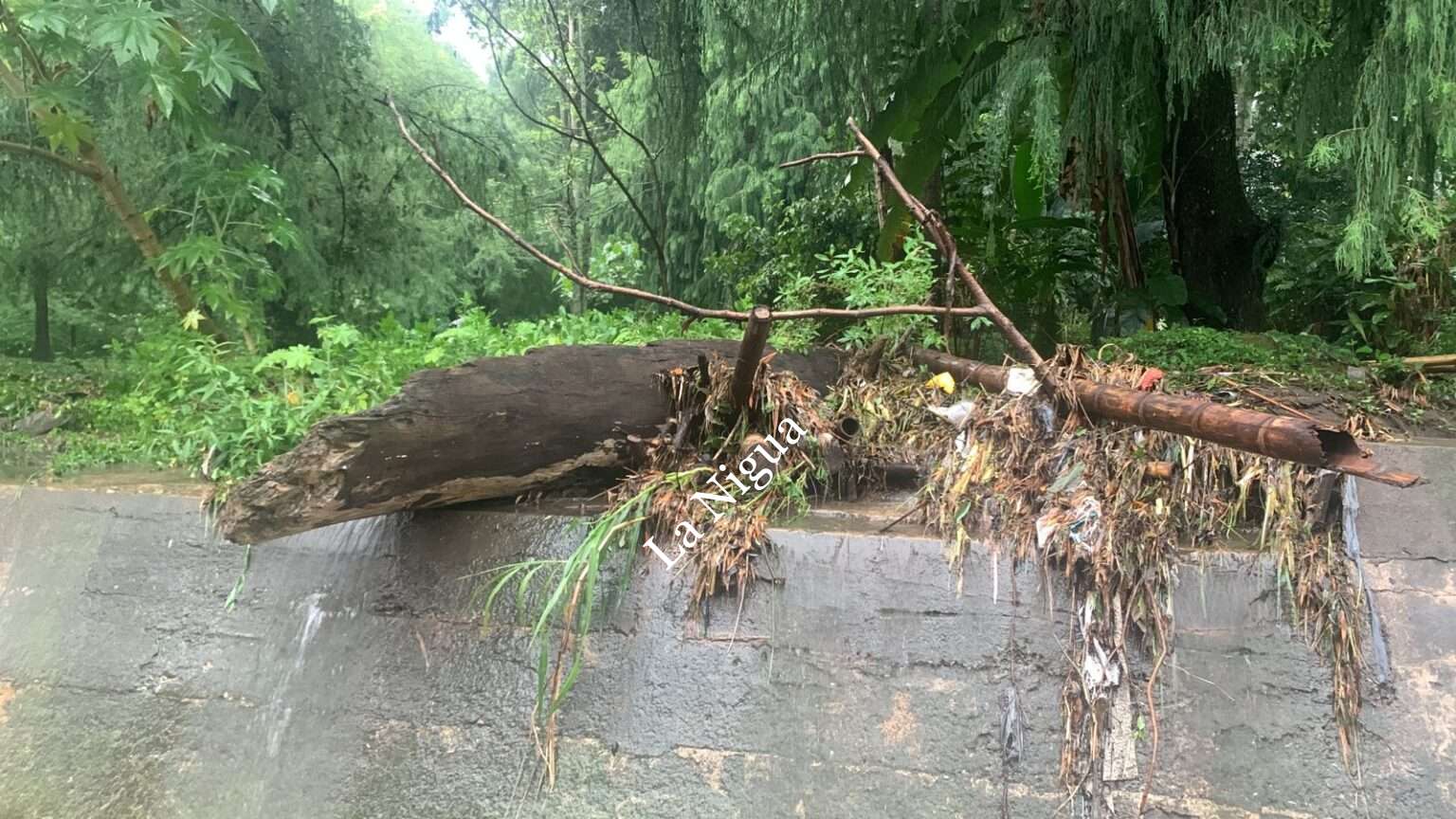 Para prevenir inundaciones y taponamientos, pide Protección Ciudadana y Movilidad no tirar basura