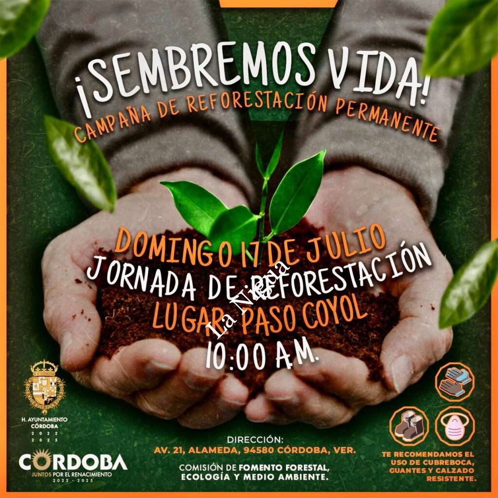 Sembremos Vida será la reforestación más grande que ha tenido Córdoba: Síndica Vania López