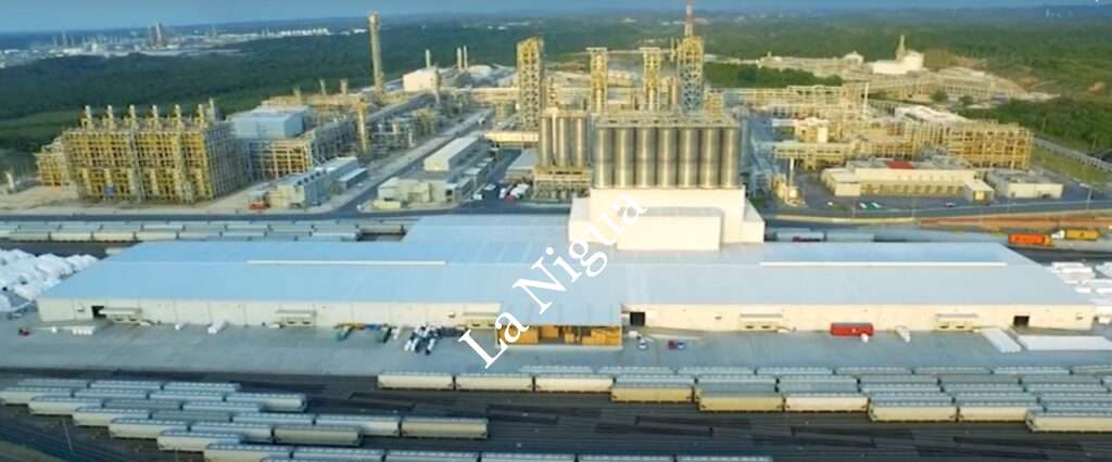 Titular del IMSS Veracruz Sur promueve programa Entornos Laborales Seguros y Saludables WhatsApp Image 2022 07 25 at 6.19.07 PM