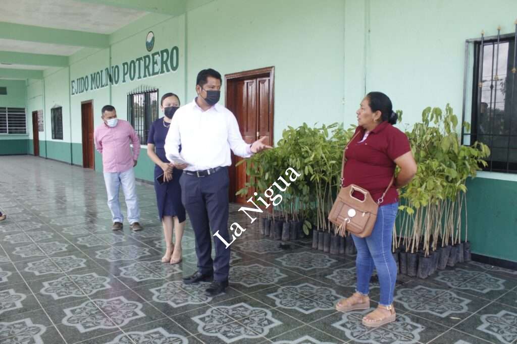 Reforestarán Atoyac; autoridades municipales entregan árboles al ejido Molino Potrero