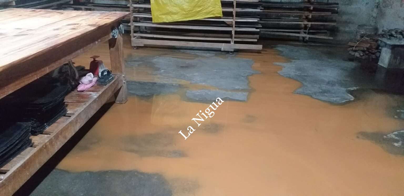 Afectan lluvias a Tequila