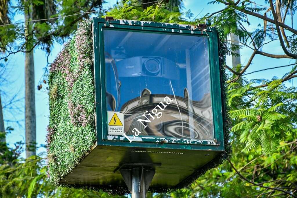 Dejaron inservible video mapping; busca alcalde se adquiera uno de última tecnología