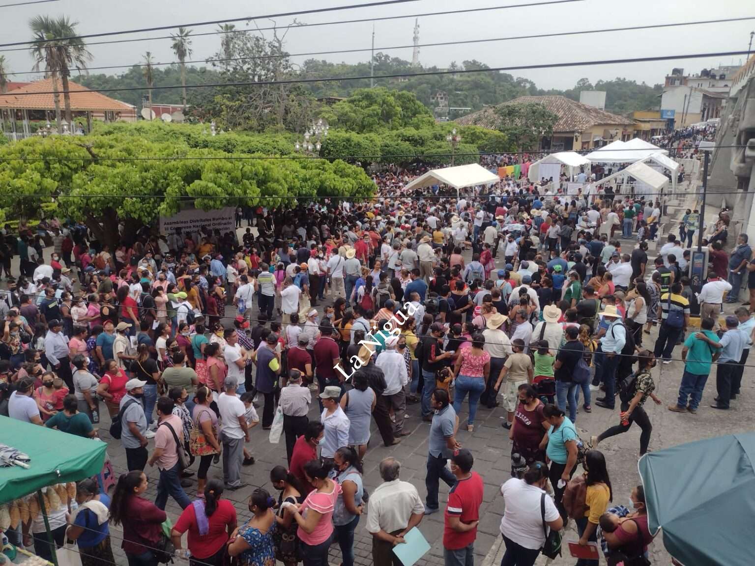 Anuncia AMLO, la anulación de las elecciones internas de MORENA en el distrito de Papantla