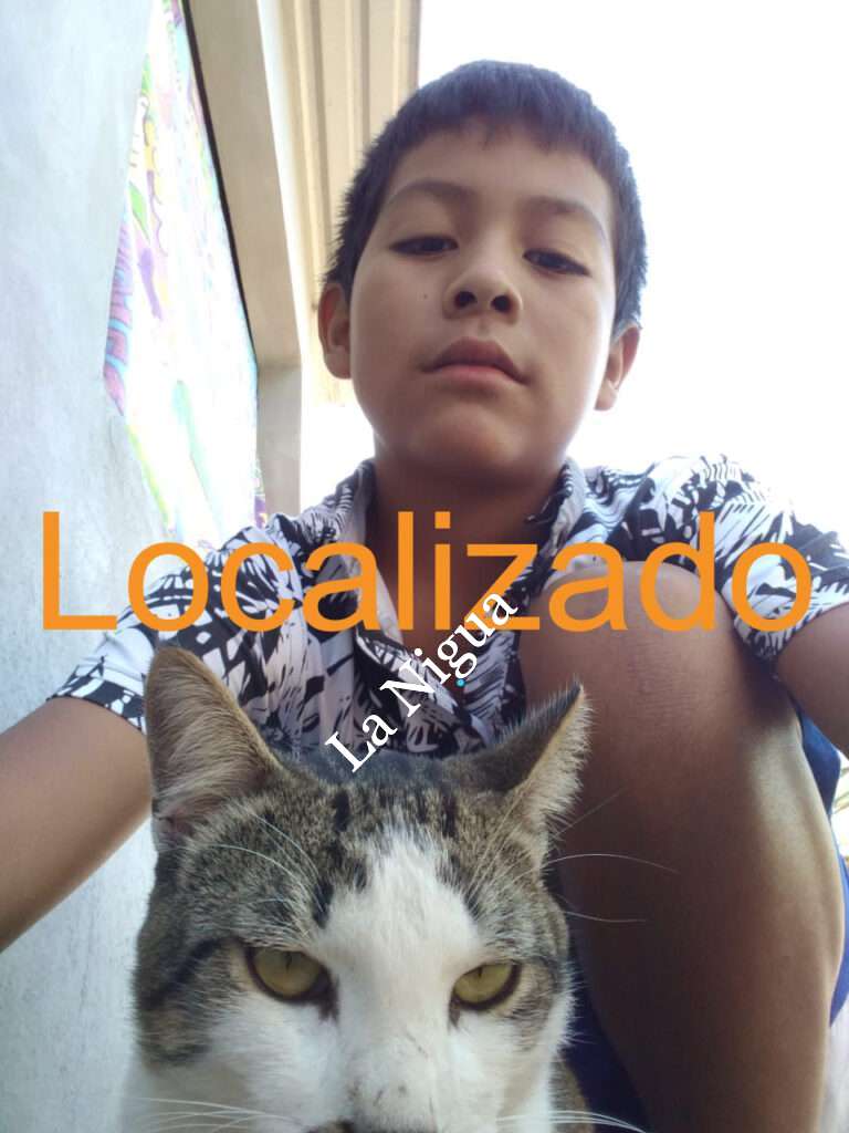 Ya apareció el cerillito