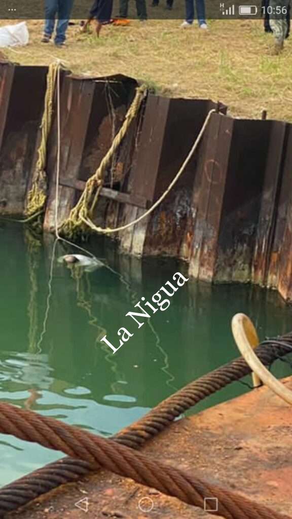 Localizan un cuerpo flotando en el río Tuxpan
