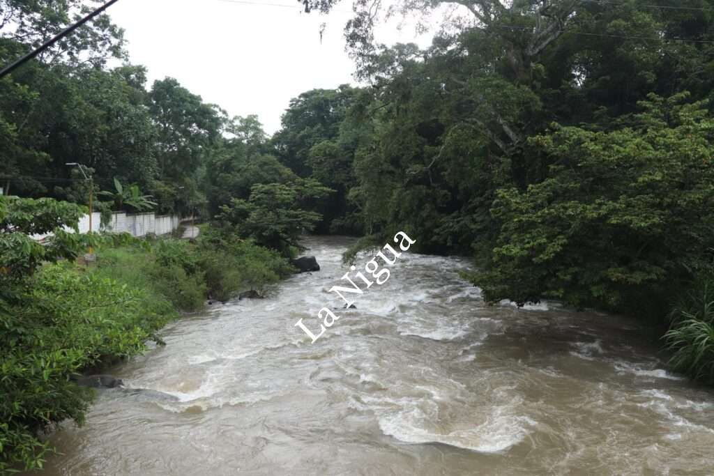 Se moviliza Protección Civil de Atoyac y Policía municipal ante reporte ciudadano
