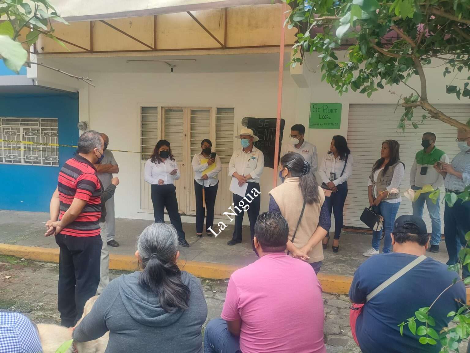 Esperan vecinos de Río Blanco dictamen de PMA sobre árboles