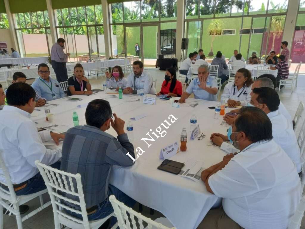 EN IXTACZOQUITLÁN INSTALACIÓN DEL GRUPO TÉCNICO DE TRABAJO DE LA REGIÓN DE LAS MONTAÑAS