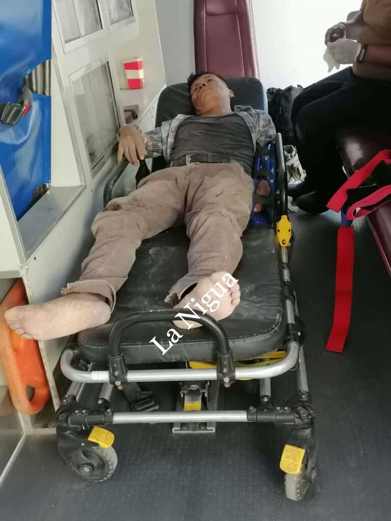 Se cae, cuando podaba un frondoso árbol en Papantla