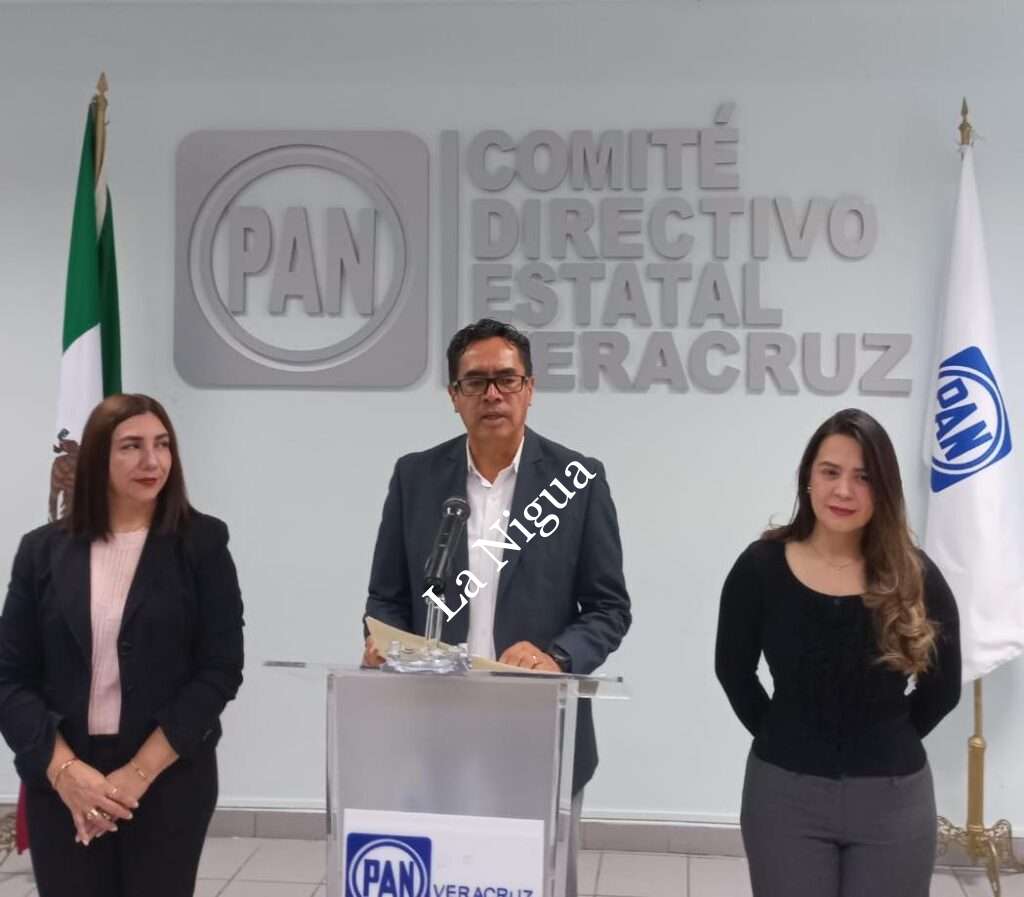Nueva dirigencia del PAN trabaja arduamente para presentar un partido unido y aguerrido