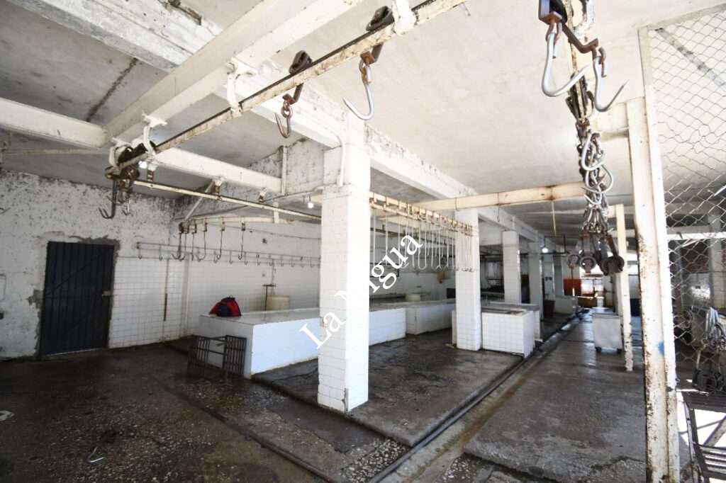 Rehabilitará Ayuntamiento de Córdoba Rastro Municipal; invertirá 4.5 mdp