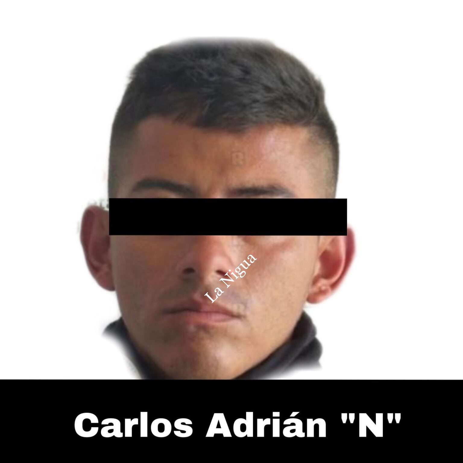 Interviene SSP a sujeto por presuntos delitos contra la salud en Córdoba