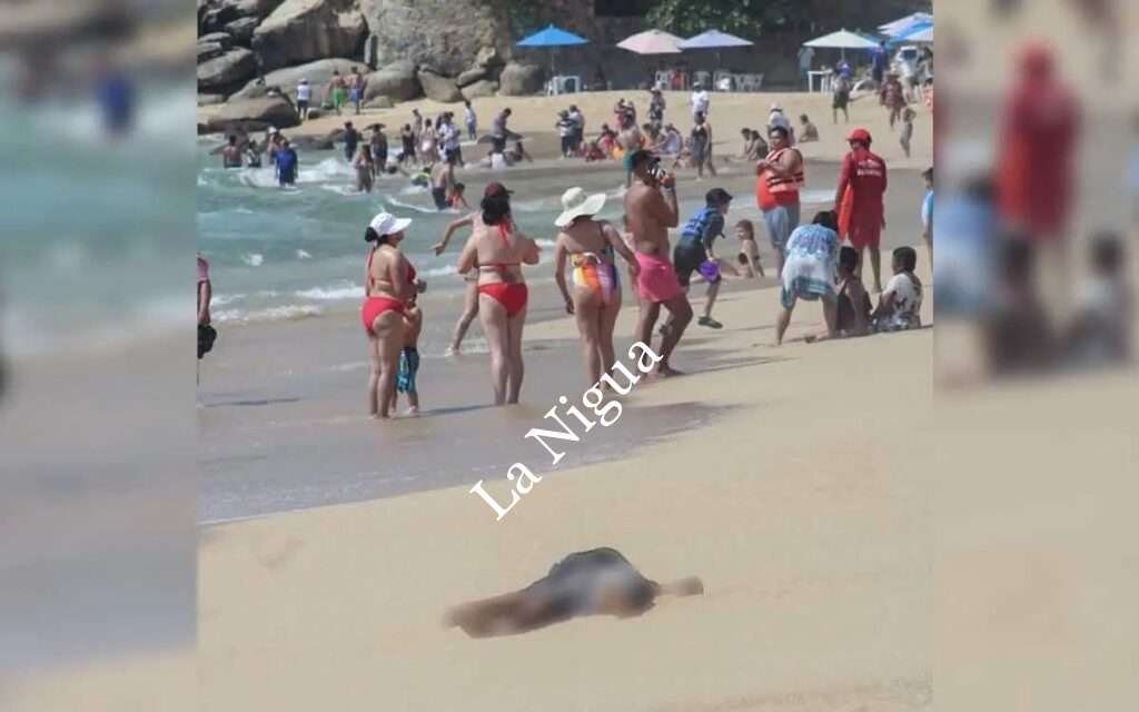 2 cadáveres en playa de Acapulco. Visitantes ni se inmutan.