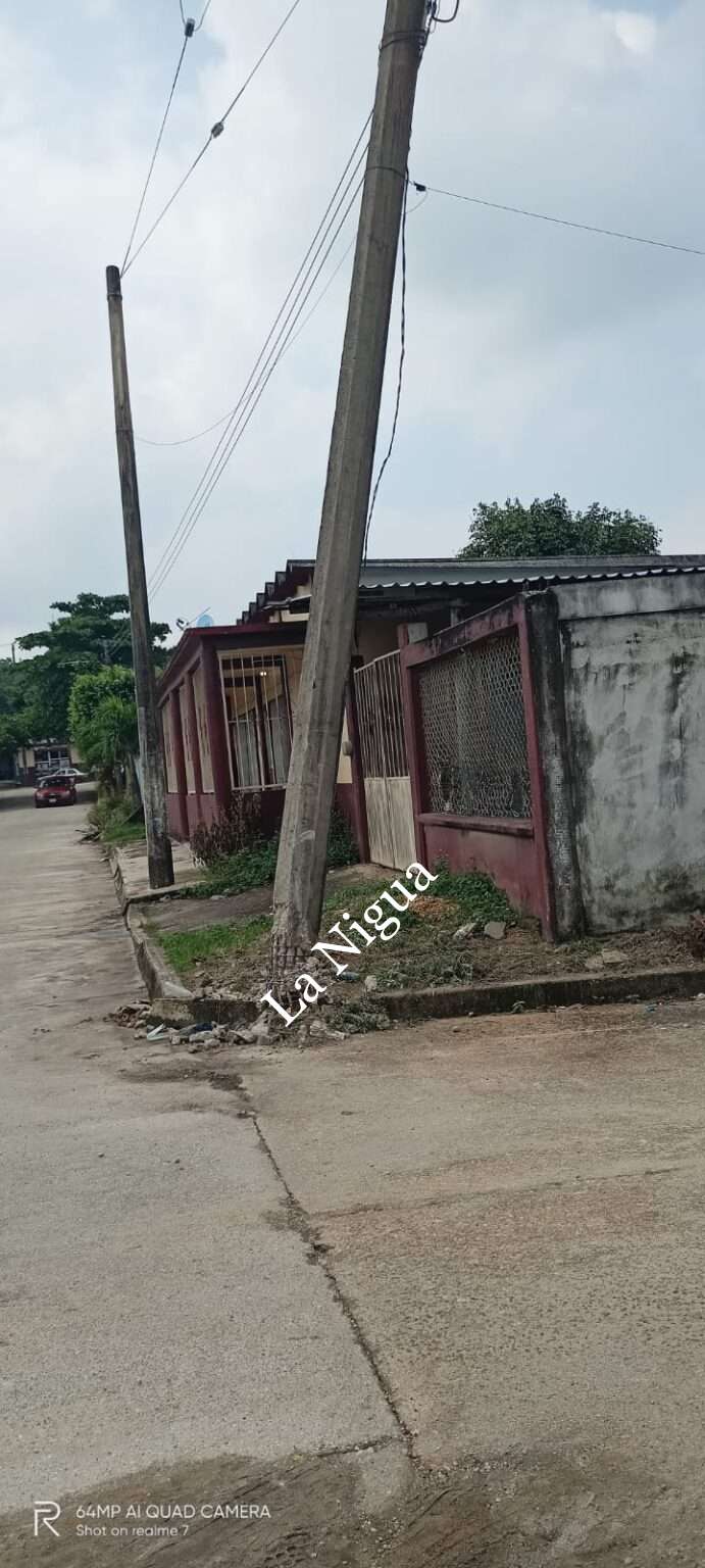 CFE sustituye poste que fue dañado por autobús que transportaba migrantes en Las Choapas