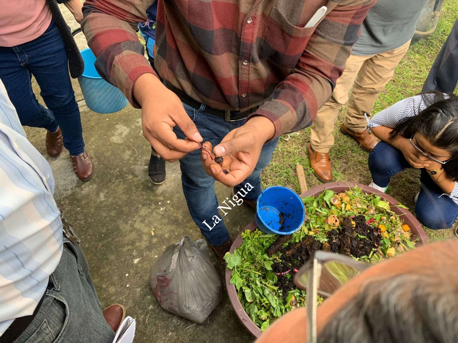 Capacitan a productores de Córdoba con elaboración de lombricomposta