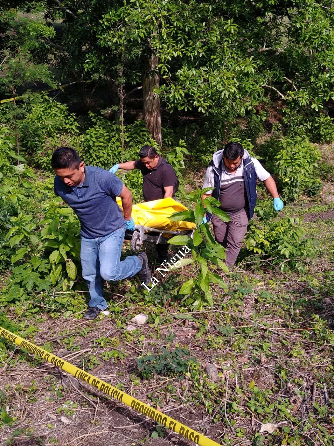 Localizan restos humanos en Gutiérrez Zamora