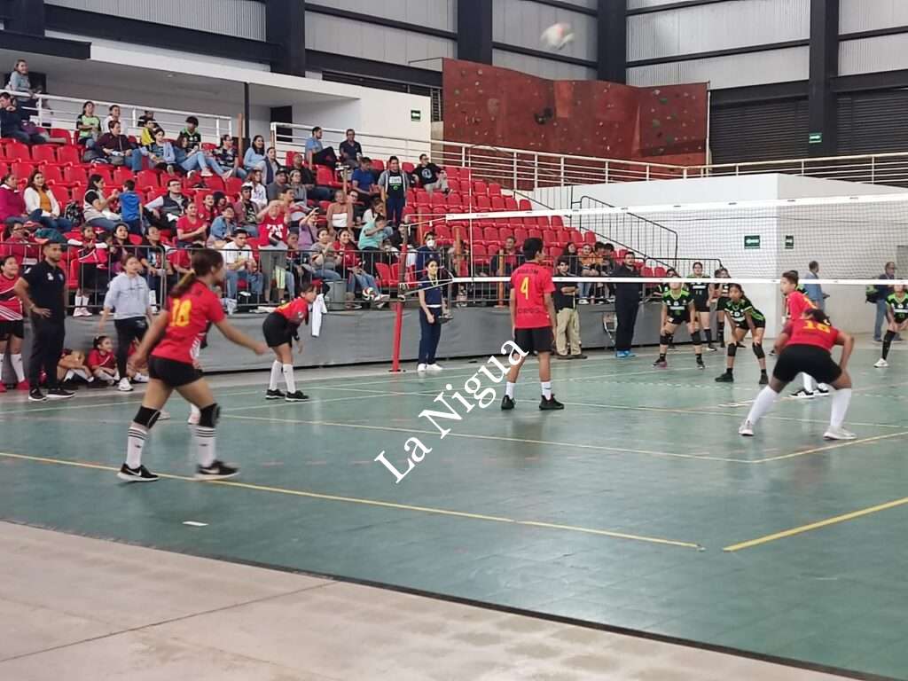 Premian a los equipos más destacados del Festival Infantil de Voleibol