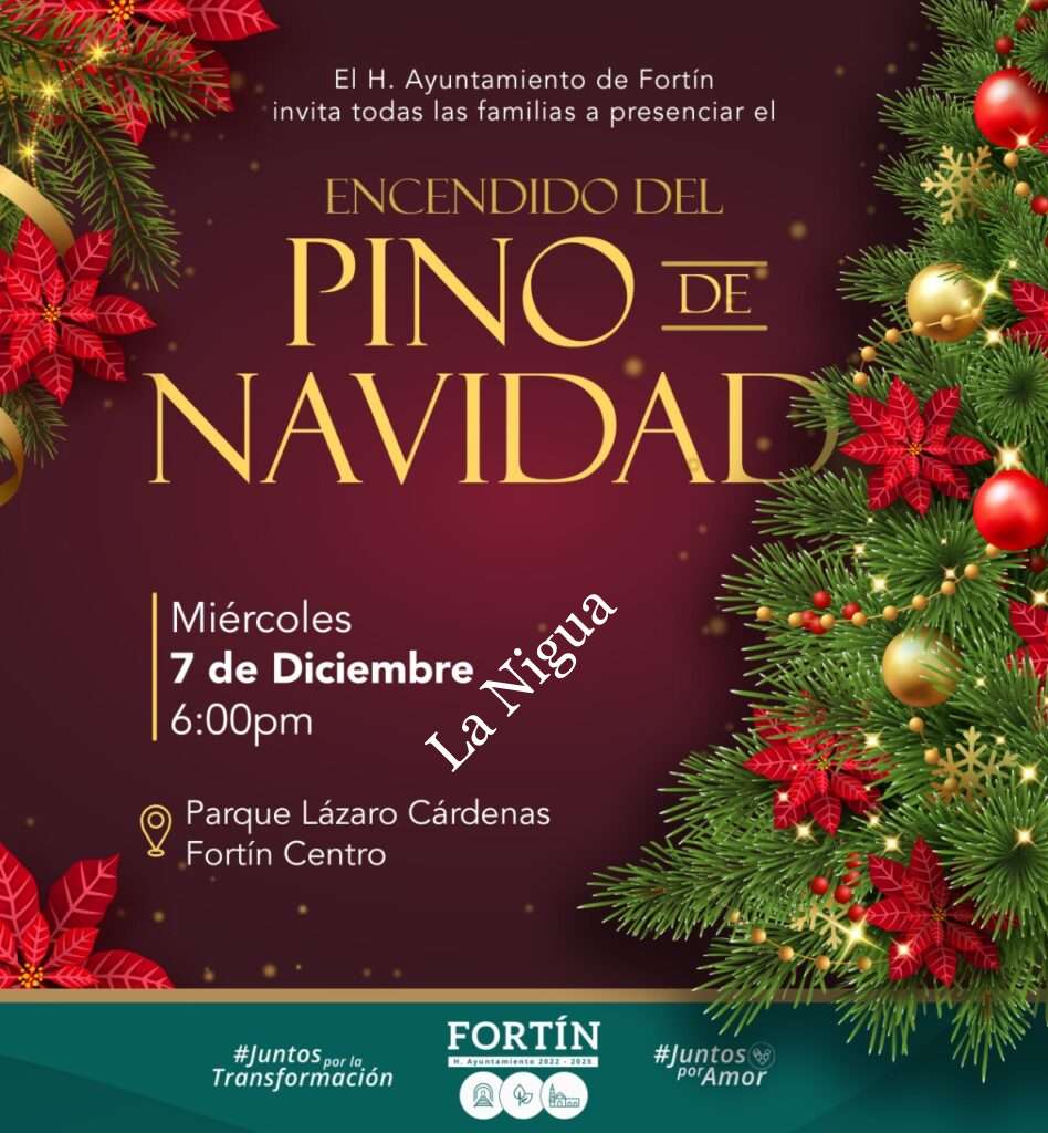 Invitan autoridades a encendido del pino de navidad