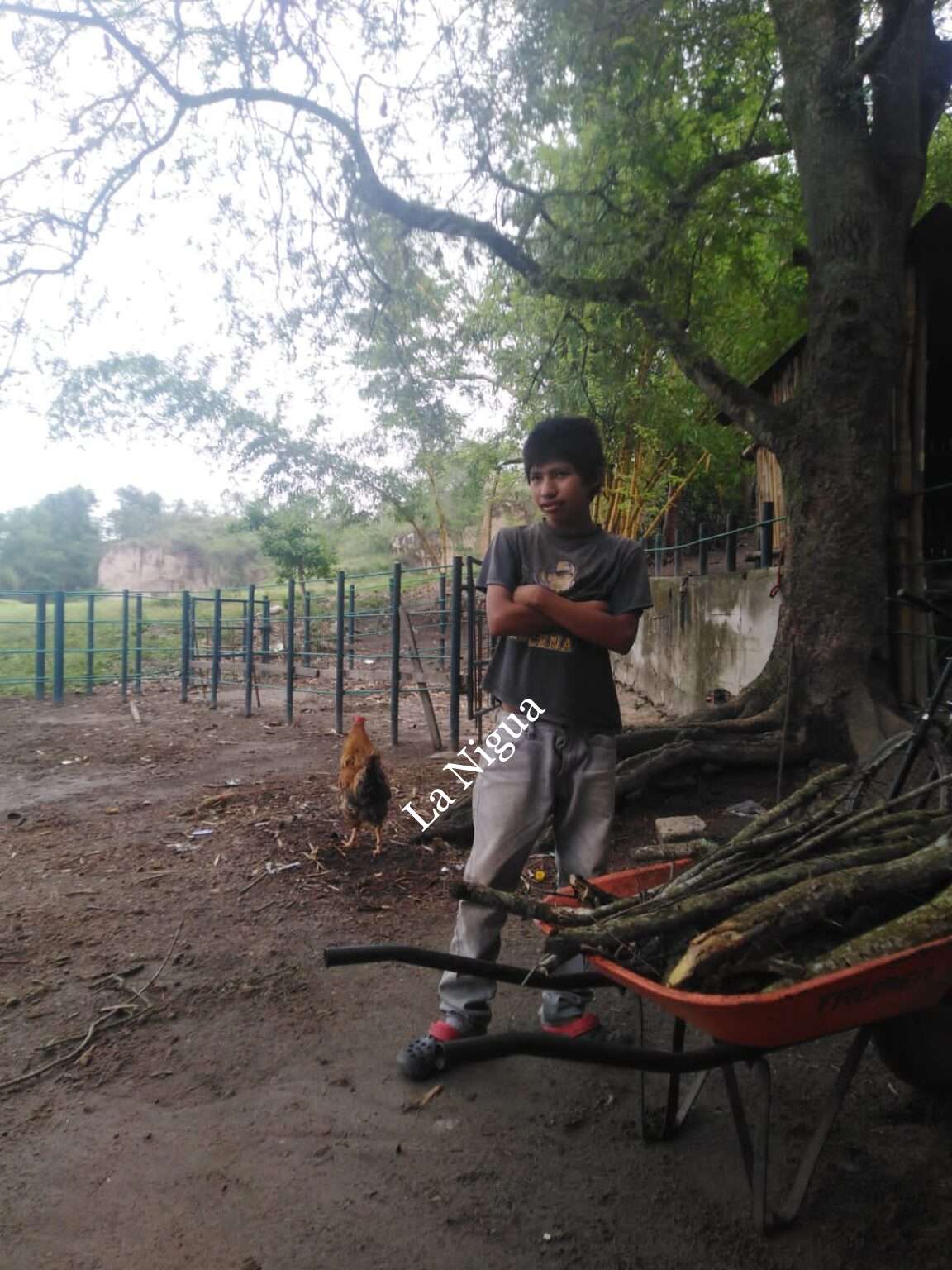 Angustia para familiares de jovencito desaparecido en Papantla