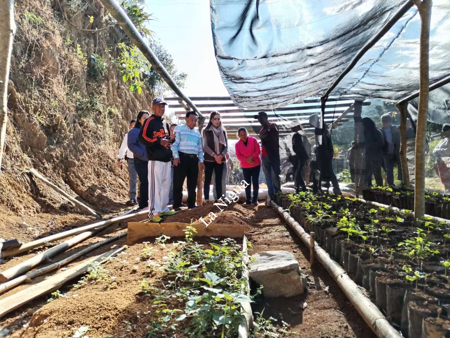 Entrega Presidente Juan Martínez material y semillas de frijol y maíz para “Escuelas de Campo”