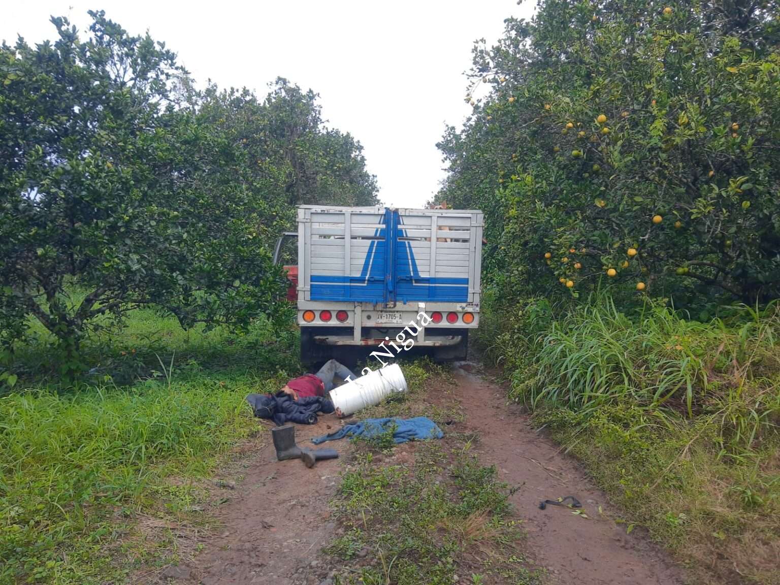 Acribillan a tres personas en un rancho de Atzalan