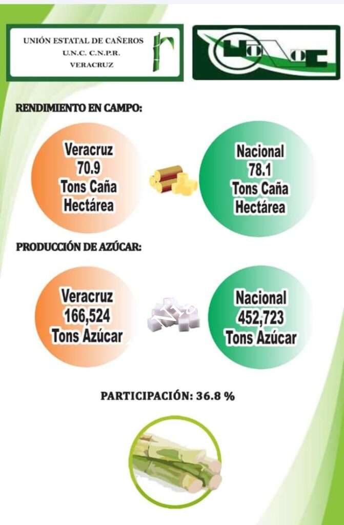 Veracruz aporta alrededor de 40% de producción de azúcar.