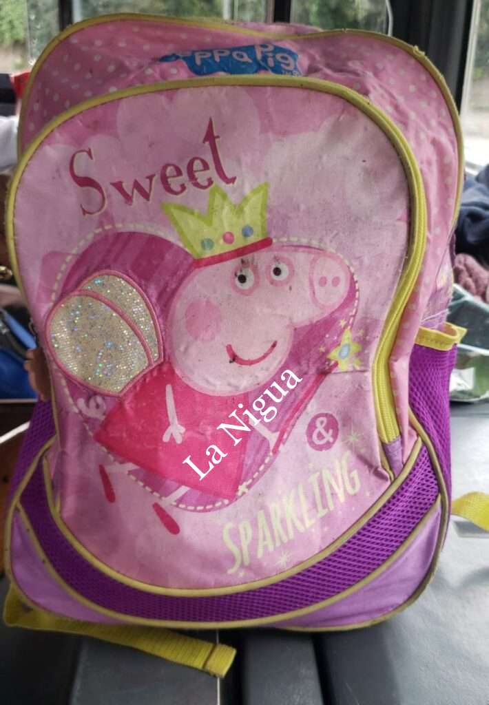 Reporta chófer del bus Córdoba – Padelma encontró esta mochila olvidada en el carro F 84.