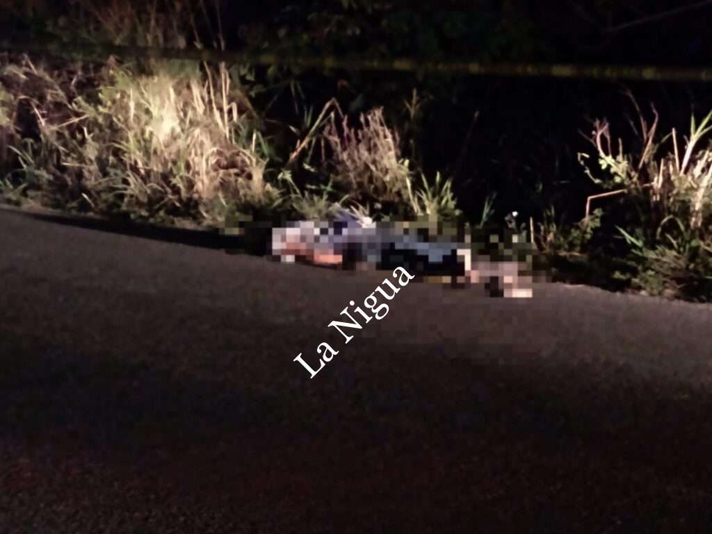 Ancianito es arrollado y muerto en Papantla